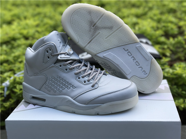 Air Jordan 5 Pure Platinum White Shoes